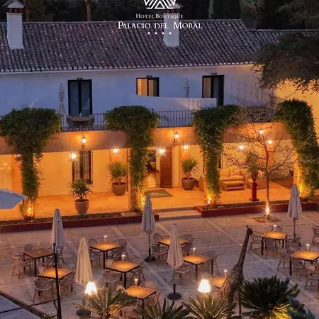 Hotel Boutique Palacio Del Moral 4*